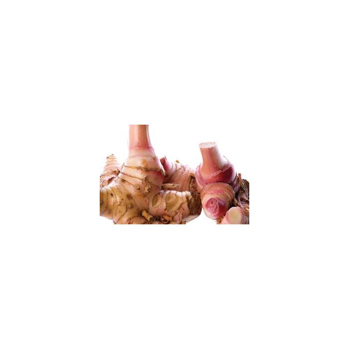 Thai_Fresh_Galangal